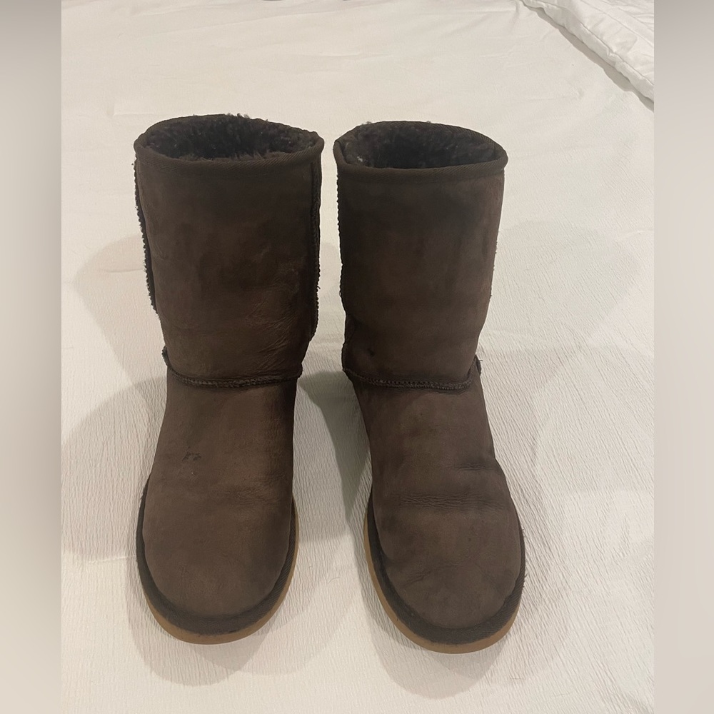 Classic Ugg Boots in Brown